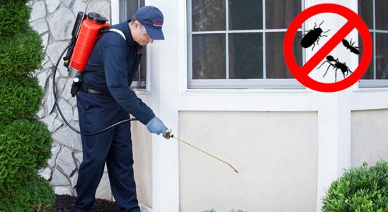 Tepebaşı Karınca İlaçlama böcek ilaçlama ve haşere kontrolü — ilaclama-tr.com